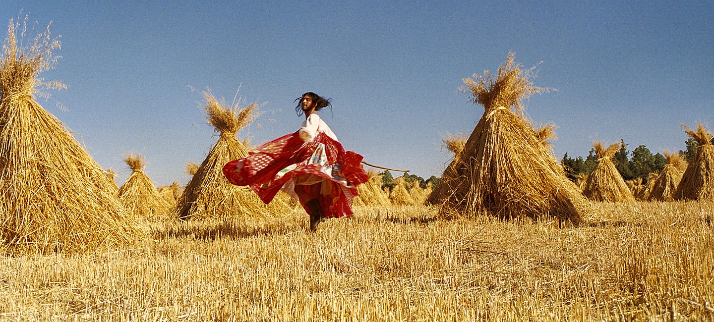 Mexican, American, reverse, assimilation, heritage, roots, fashion