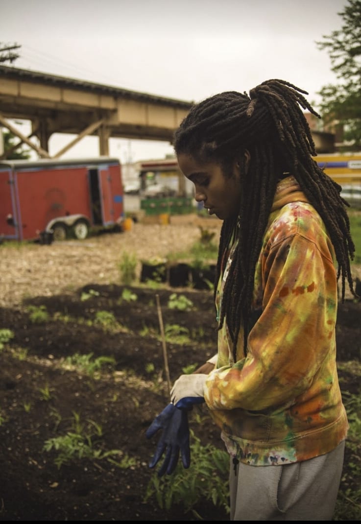 Chicago, food, security, pandemic, mutual aid, meals