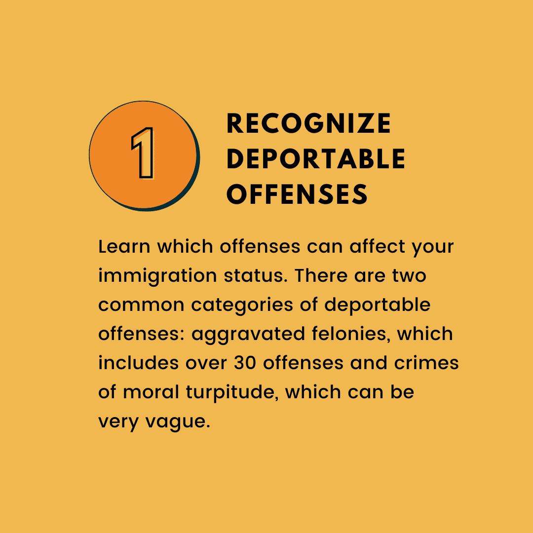 courts, deportation, noncitizens, criminalization, representation, tips