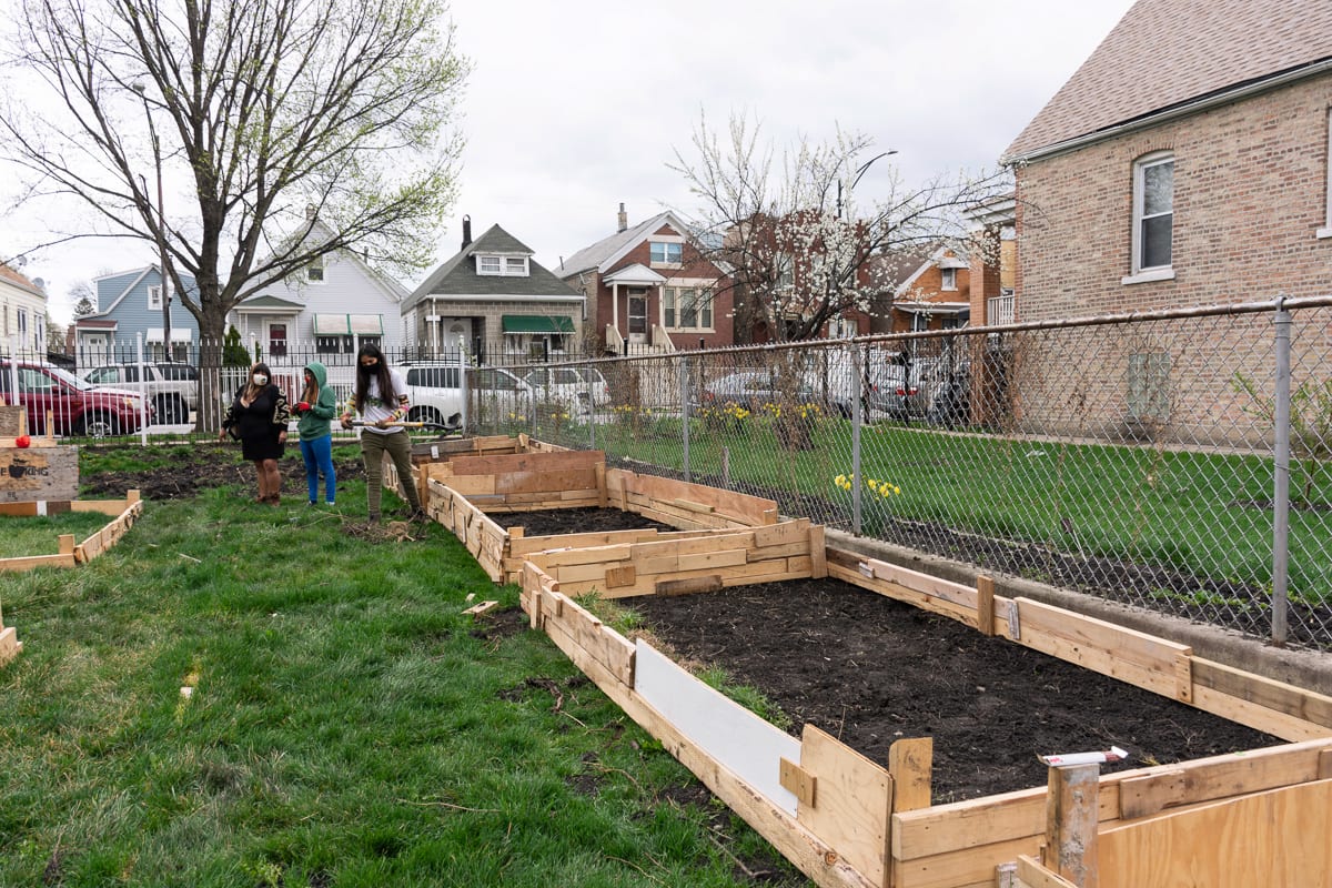 gender-based, violence, domestic, femme, Little Village, Chicago, Pilsen, community, care, protection, survivors, immigrant, strength, safety, food , housing, garden, La Ruda Farm, Femme Defensa