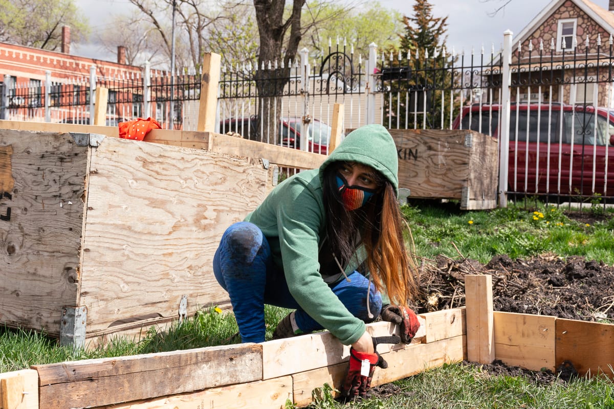 gender-based, violence, domestic, femme, Little Village, Chicago, Pilsen, community, care, protection, survivors, immigrant, strength, safety, food , housing, garden, La Ruda Farm, Femme Defensa