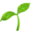 :seedling: