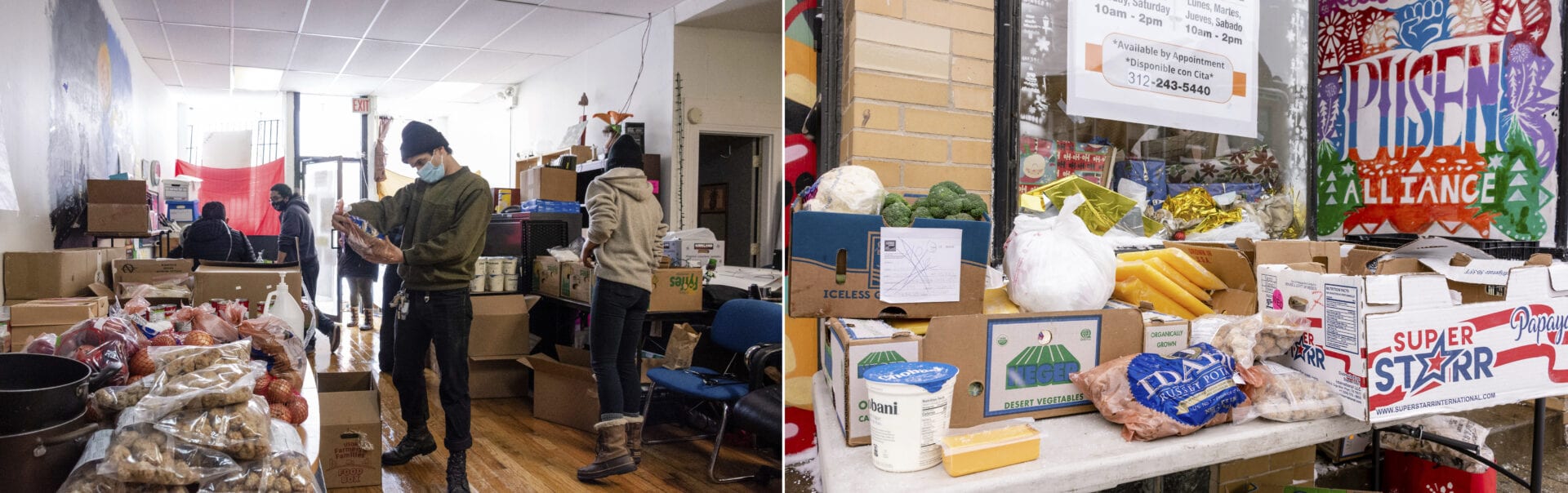 gender-based, violence, domestic, femme, Little Village, Chicago, Pilsen, community, care, protection, survivors, immigrant, strength, safety, food , housing, garden, La Ruda Farm, Femme Defensa
