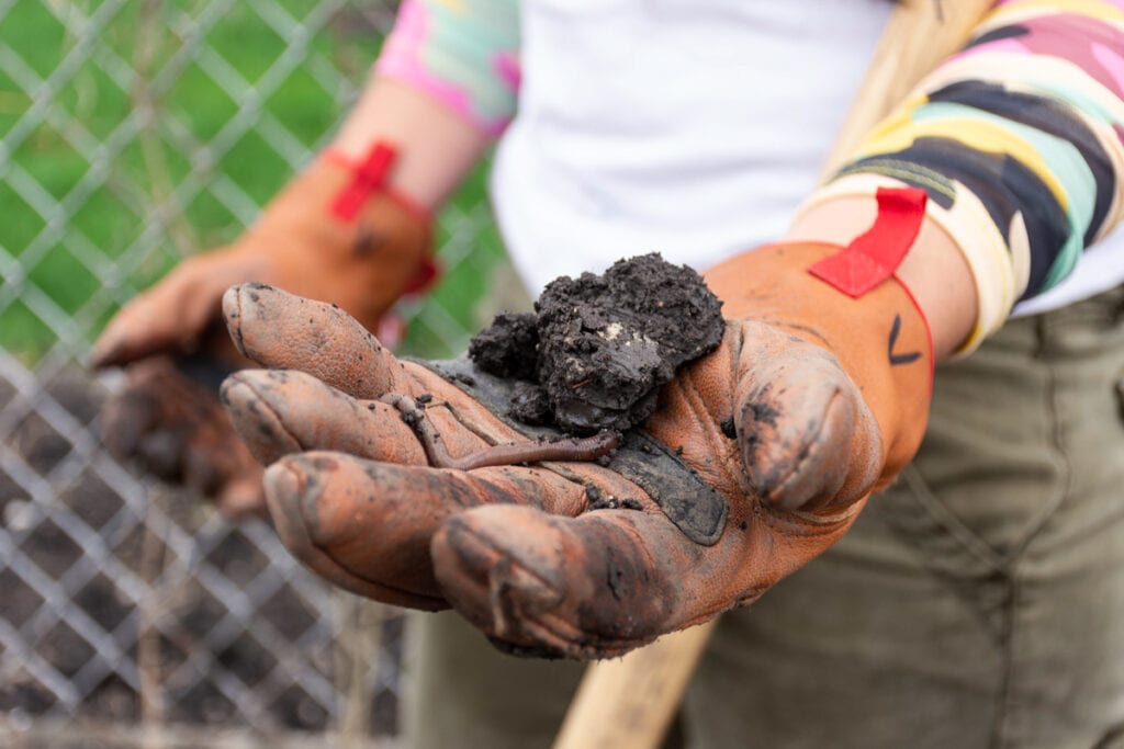 gender-based, violence, domestic, femme, Little Village, Chicago, Pilsen, community, care, protection, survivors, immigrant, strength, safety, food , housing, garden, La Ruda Farm, Femme Defensa