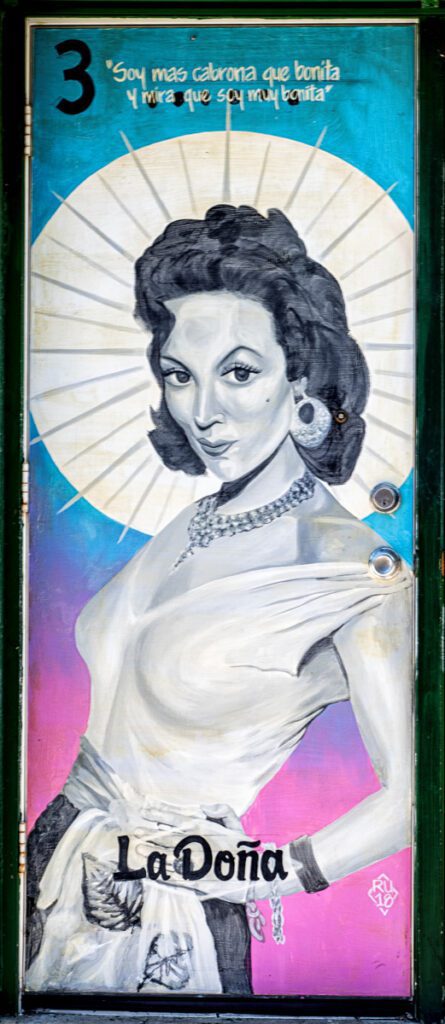 doors, loterÍa, Pilsen, murals, community, Rocio Urbano, artist, La Doña
